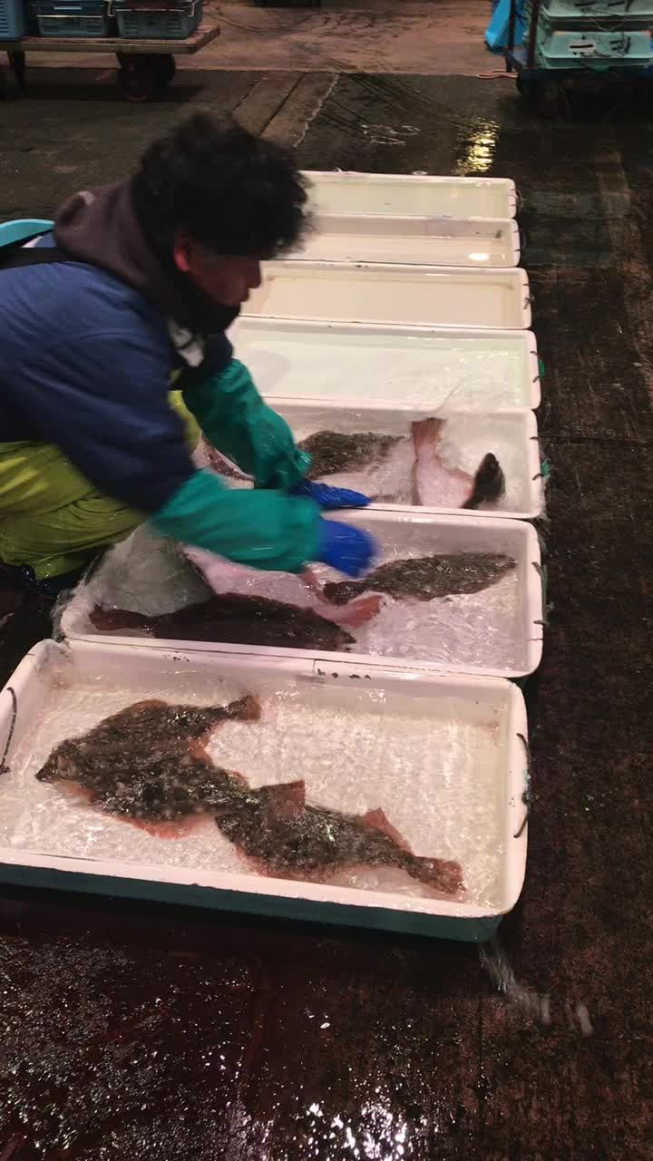 朝は平目にコウイカが 豊漁全体的に漁はそこそこ まるはの社長ブログ