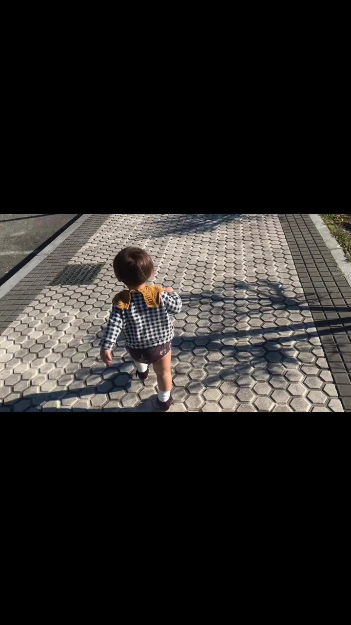 走る走る俺たち バスクの田舎で気まま日記