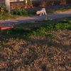 clipThumbnail