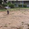 clipThumbnail