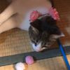 clipThumbnail