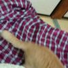 clipThumbnail