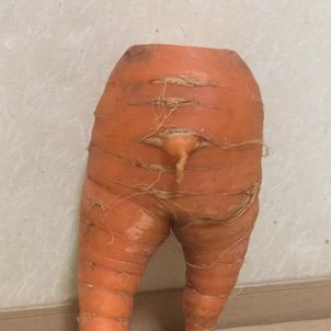 絶妙な美脚？！の画像