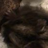 clipThumbnail