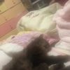 clipThumbnail