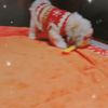clipThumbnail