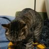clipThumbnail