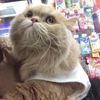 clipThumbnail