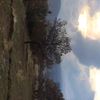 clipThumbnail