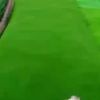clipThumbnail