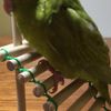 clipThumbnail