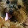 clipThumbnail