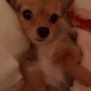 clipThumbnail