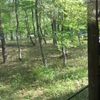 clipThumbnail