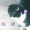 clipThumbnail