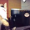 clipThumbnail