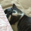 clipThumbnail