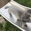 clipThumbnail