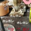 clipThumbnail