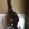 clipThumbnail