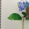 clipThumbnail