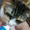 clipThumbnail