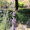 clipThumbnail