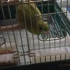 clipThumbnail