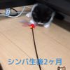 clipThumbnail
