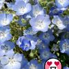 clipThumbnail