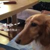clipThumbnail
