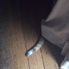 clipThumbnail