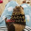 clipThumbnail