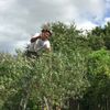 clipThumbnail