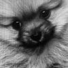 clipThumbnail