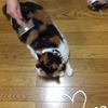 clipThumbnail