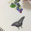 clipThumbnail