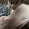 clipThumbnail