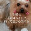 clipThumbnail