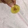 clipThumbnail