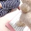 clipThumbnail