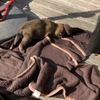 clipThumbnail