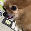 clipThumbnail