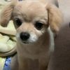 clipThumbnail
