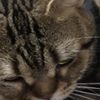 clipThumbnail