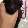 clipThumbnail