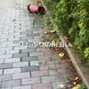 clipThumbnail