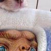 clipThumbnail
