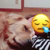 clipThumbnail