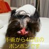 clipThumbnail